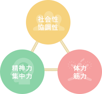 体操を通じて、①社会性・協調性 ②精神力・集中力 ③体力・筋力<br>
の習得を目指しています。