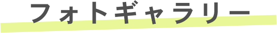 フォトギャラリー